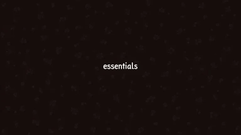 Leather Shoe Repair Kit Essentials